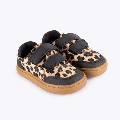 Savanna