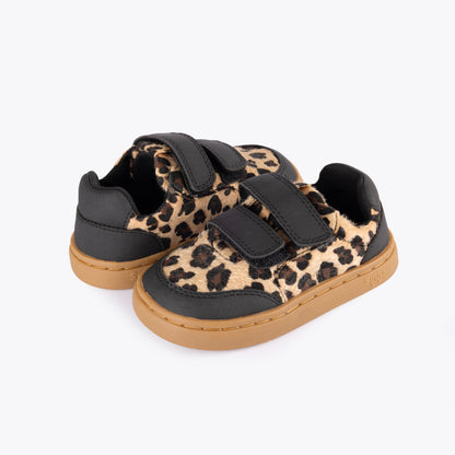 Savanna